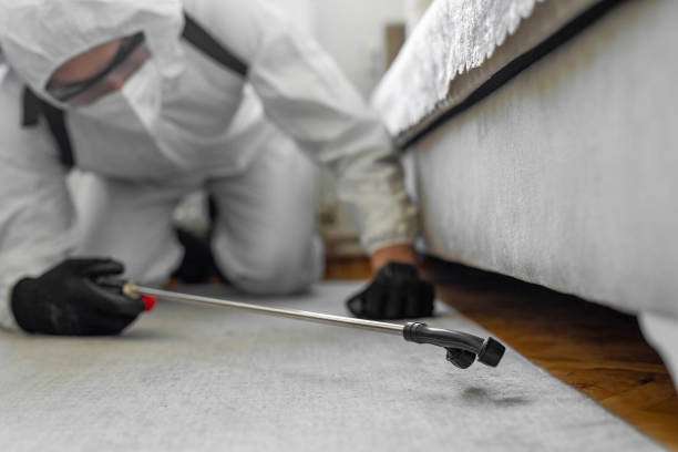 Professional Bed Bug Control technician working in Paris, AR
